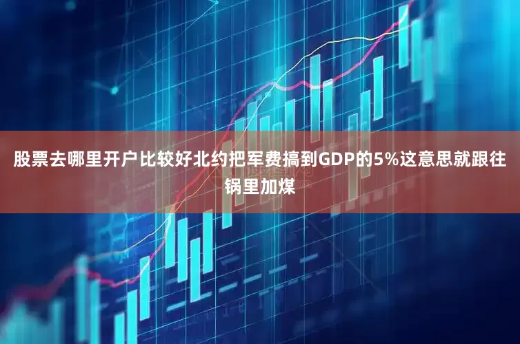 股票去哪里开户比较好北约把军费搞到GDP的5%这意思就跟往锅里加煤