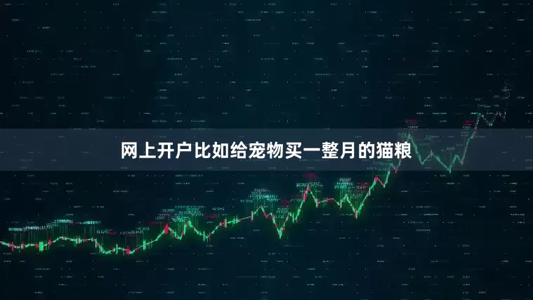 网上开户比如给宠物买一整月的猫粮
