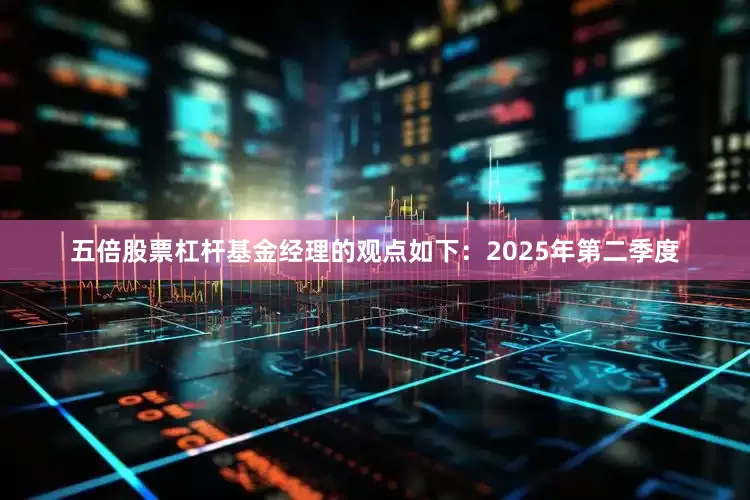 五倍股票杠杆基金经理的观点如下：2025年第二季度
