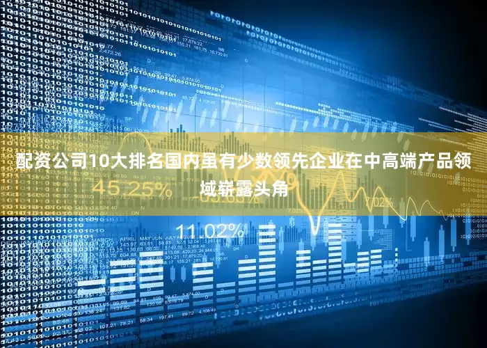 配资公司10大排名国内虽有少数领先企业在中高端产品领域崭露头角