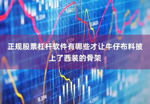 正规股票杠杆软件有哪些才让牛仔布料披上了西装的骨架